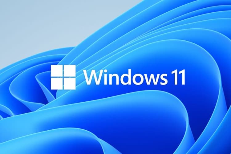 An image with the Windows 11 default wallpaper and the Windows 11 logo