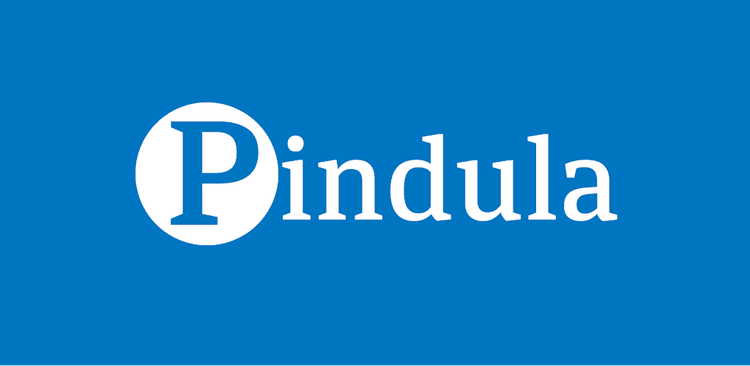 Pindula news logo